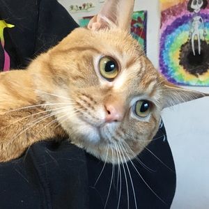 Meet your Posher, Kathryn